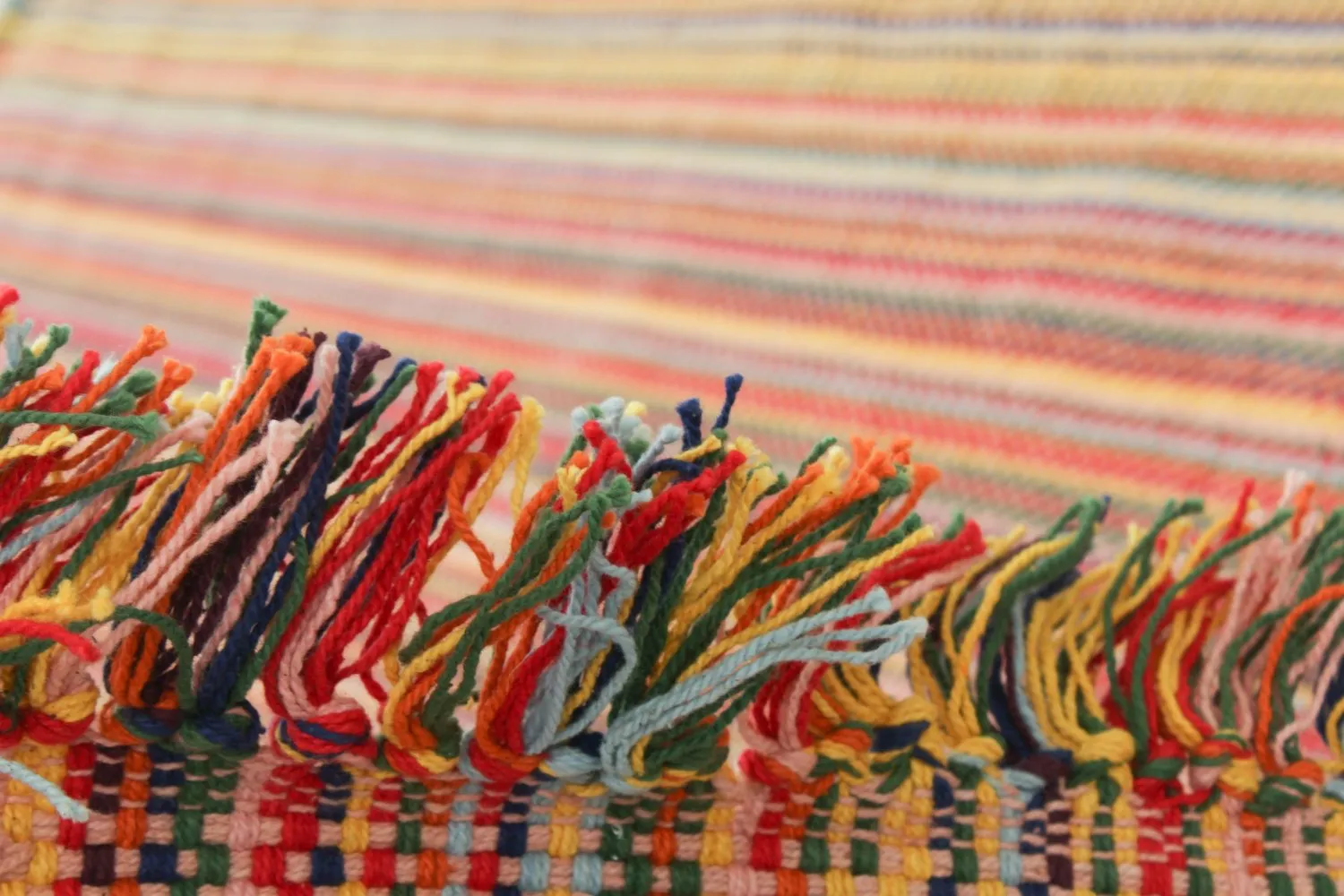 Voddenkleed - Paul - Afbeelding 6